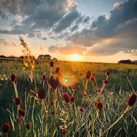 Traumfabrik Eifel Mit Sauna & Whirlpool