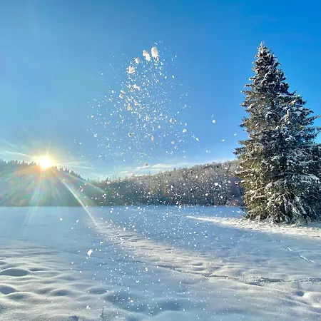 Prázdninový dům Traumfabrik Eifel Mit Sauna & Whirlpool *