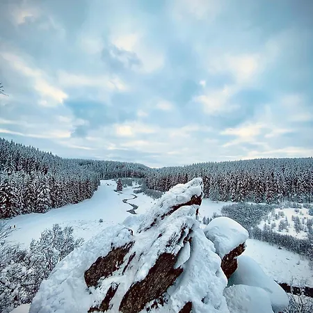 Holiday home Traumfabrik Eifel Mit Sauna & Whirlpool *