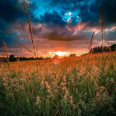 Traumfabrik Eifel Mit Sauna & Whirlpool Prázdninový dům *