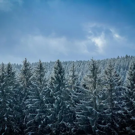 Traumfabrik Eifel Mit Sauna & Whirlpool Prázdninový dům