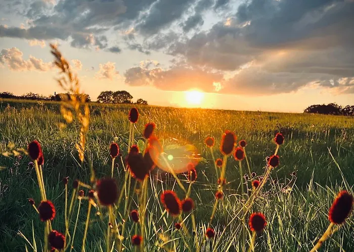 Traumfabrik Eifel Mit Sauna & Whirlpool