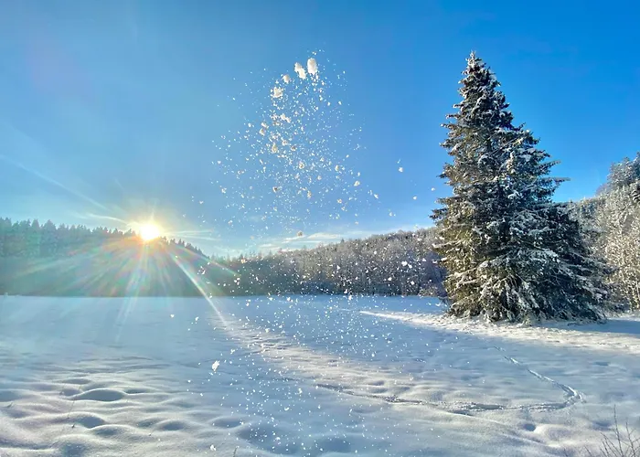 Hébergement de vacances Traumfabrik Eifel Mit Sauna & Whirlpool *