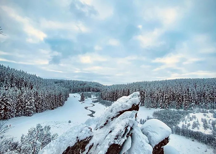 Hébergement de vacances Traumfabrik Eifel Mit Sauna & Whirlpool *