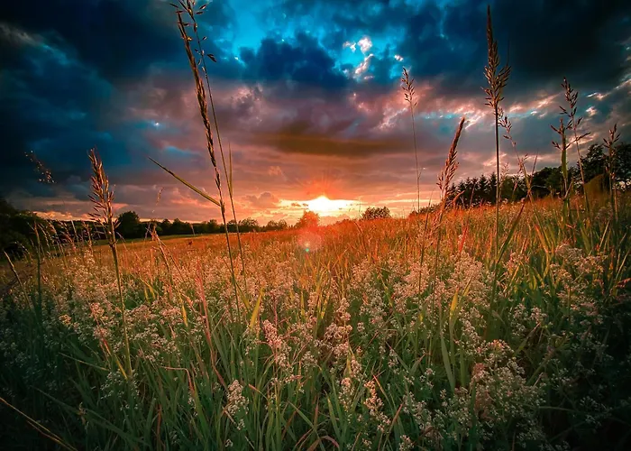 Traumfabrik Eifel Mit Sauna & Whirlpool Hébergement de vacances *