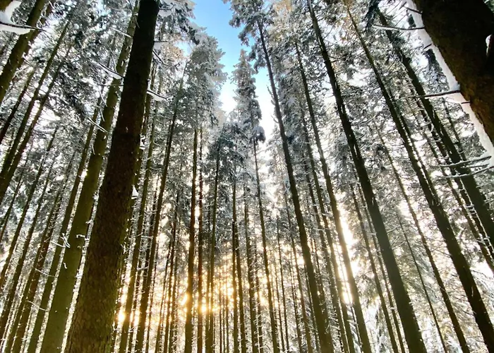 Traumfabrik Eifel Mit Sauna & Whirlpool