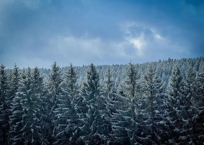 Traumfabrik Eifel Mit Sauna & Whirlpool Hébergement de vacances